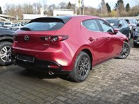 Pkw Mazda Mazda3 3 Selection Skyactiv-G 2.0 M-Hybrid Navi+Klima +Shz Gebrauchtwagen In Aschaffenburg