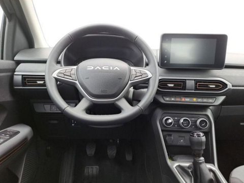 Pkw Dacia Sandero Sandero Stepway Extreme+ Tce 100 Eco-G*Navi*Rfk* Neu Sofort Lieferbar In Minden